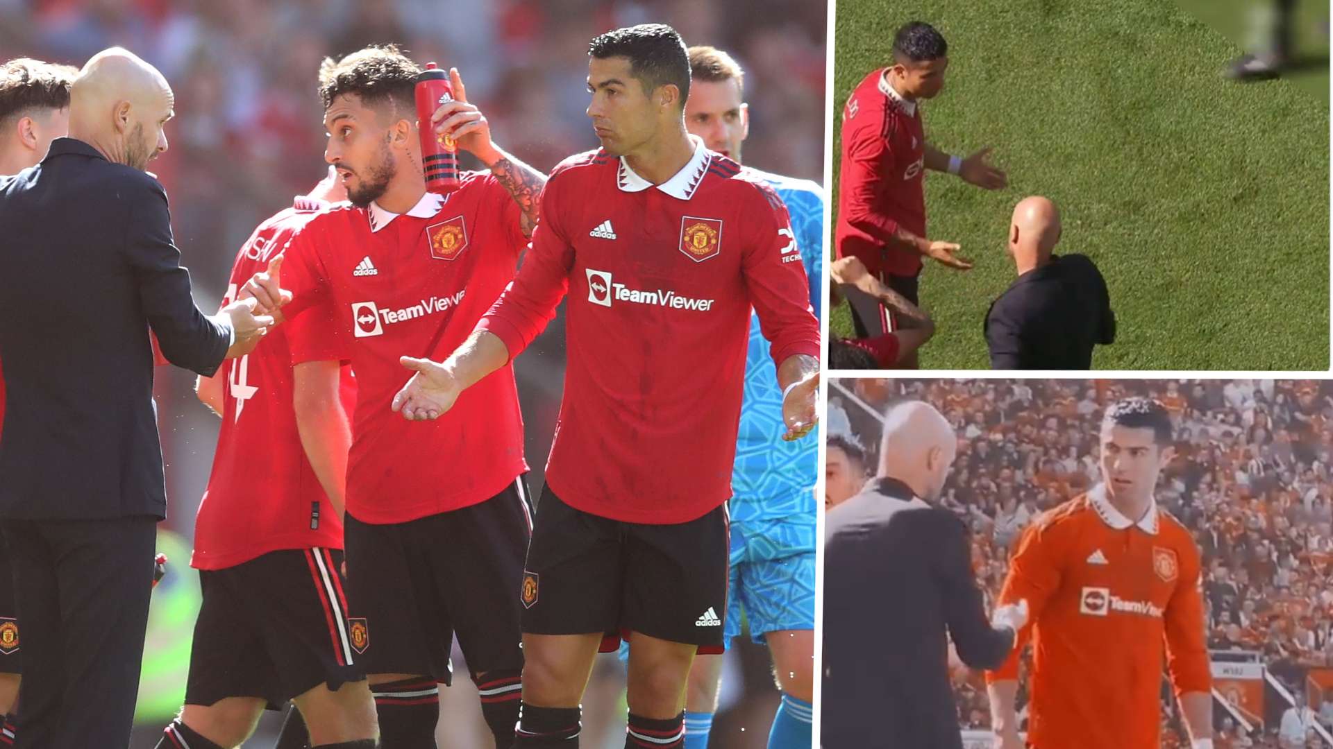 迷的目光 迷的目光